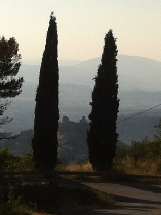 Assisi