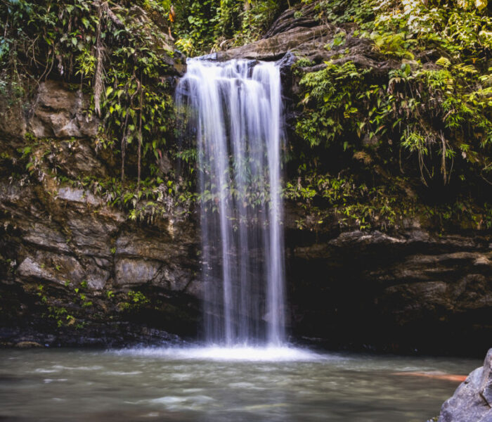 Chapter 10: Puerto Rico: Year three: 1977-78